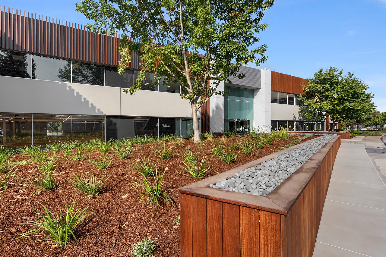 Landscape planter along corporate building facade